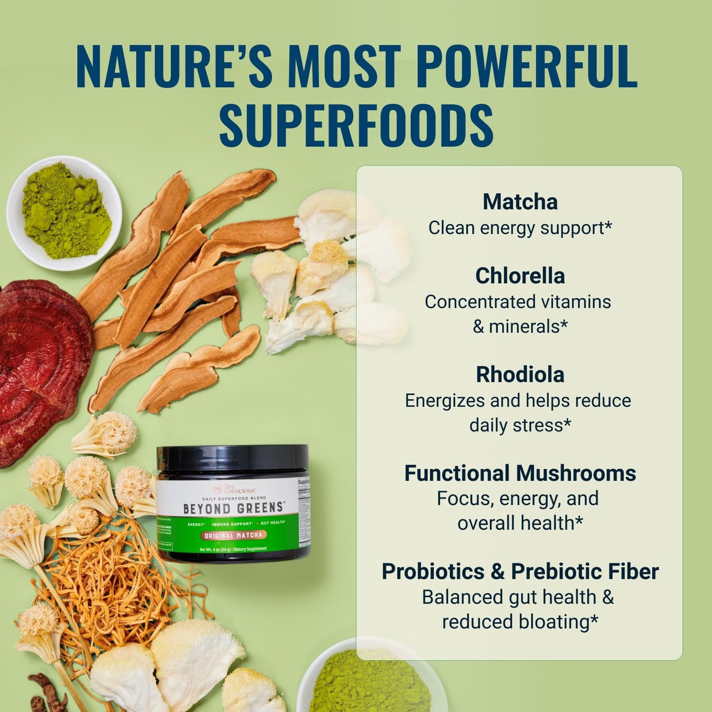 Live Conscious Beyond Greens Superfood Powder - Delicious Debloating Super Greens Powder - Matcha Greens Blend w/Chlorella, Echinacea, Probiotics for Immune Support & Energy