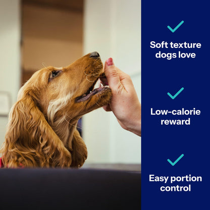 Covetrus Nutrisential Lean Treats for Dogs - Small, Medium & Large Dogs (K9) - Nutritional Low Fat, Bite-Size - Soft Chicken Flavor - Chicken Flavor - 3 Pack - 4oz