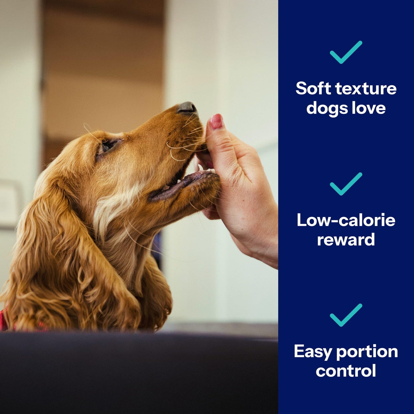 Covetrus Nutrisential Lean Treats for Dogs - Small, Medium & Large Dogs (K9) - Nutritional Low Fat, Bite-Size - Soft Chicken Flavor - Chicken Flavor - 3 Pack - 4oz