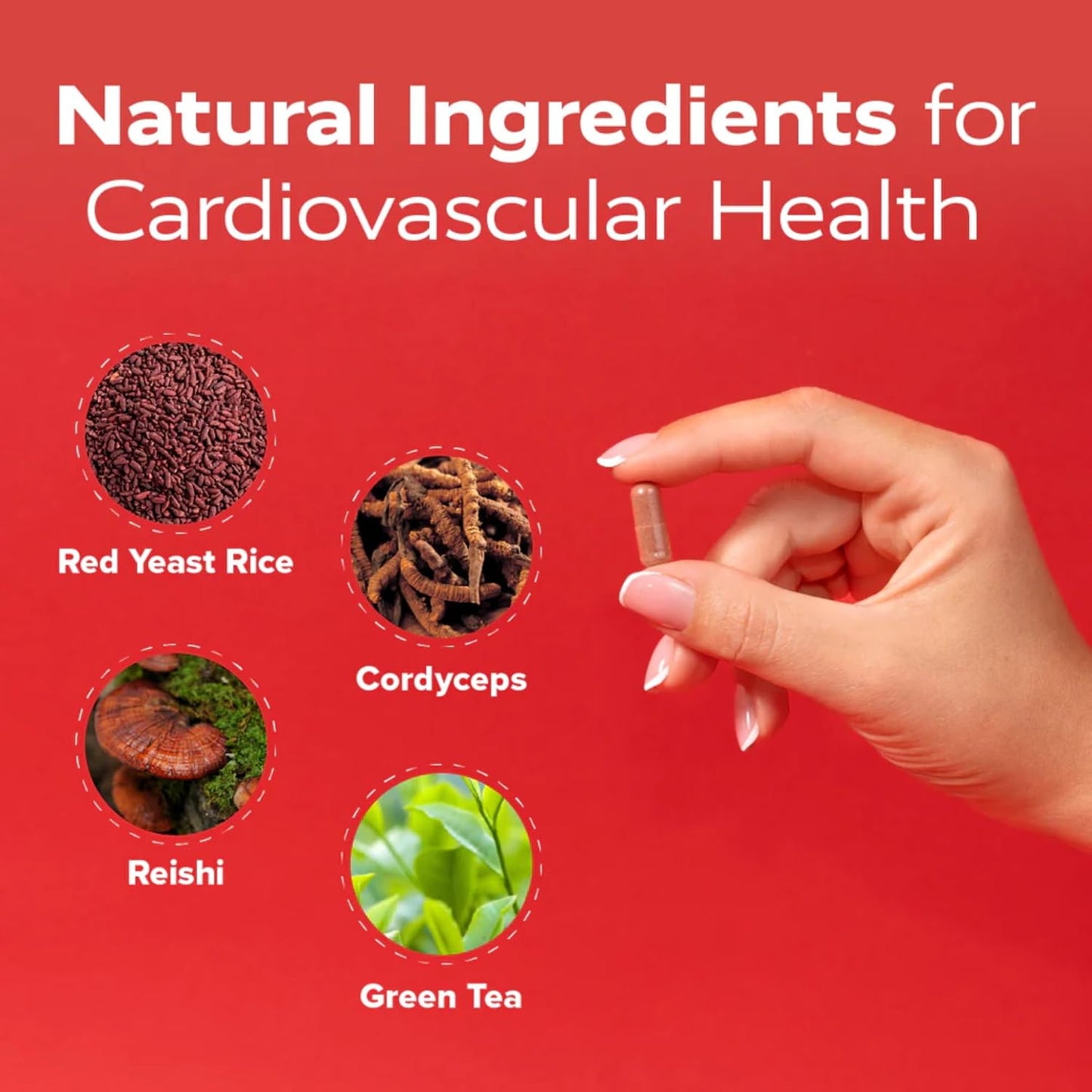 Redd Remedies, Cholesterol Triple Care, Supports Healthy Cholesterol Levels and Liver Function, 60 Vegetarian Capsules
