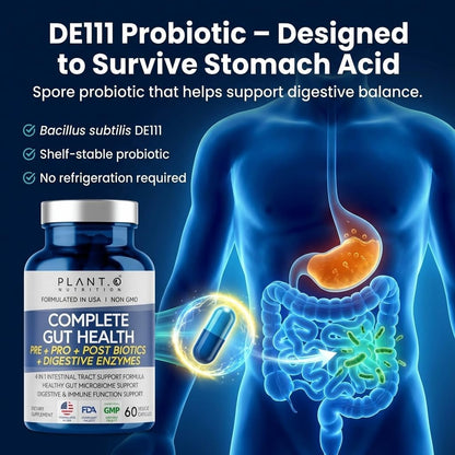 4-in-1 Gut Health Support – Prebiotics + Probiotics + Postbiotics + Digestive Enzymes for Women and Men – DE111 Spore Probiotic for Digestive Support & Bloating – Non-GMO – 60 Veggie Capsules