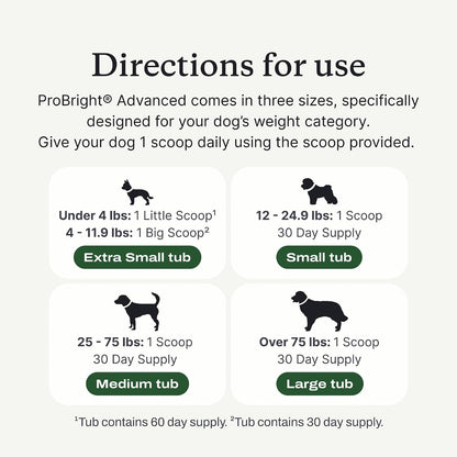 PetLab Co. ProBright Advanced Dental Powder, Small Dogs, 30 Scoops | Three-Time Award-Winning* formula shown to support tartar reduction and fresh breath in 28 days, One scoop daily