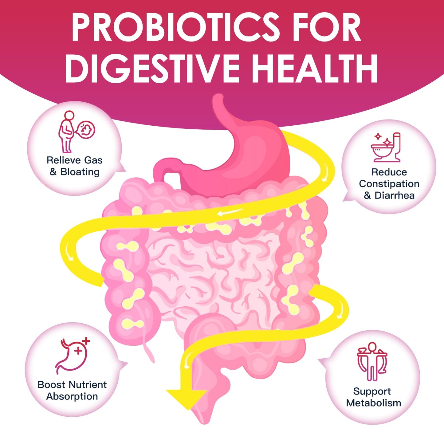 DRFOSTER Probiotic for Women 120B Urinary & Digestive Health, 90 Capsules | 31 Strains, Prebiotics, Enzymes, D-Mannose & Cranberry, Vaginal, Urinary & Digestive Support, Non-GMO, Gluten-Free