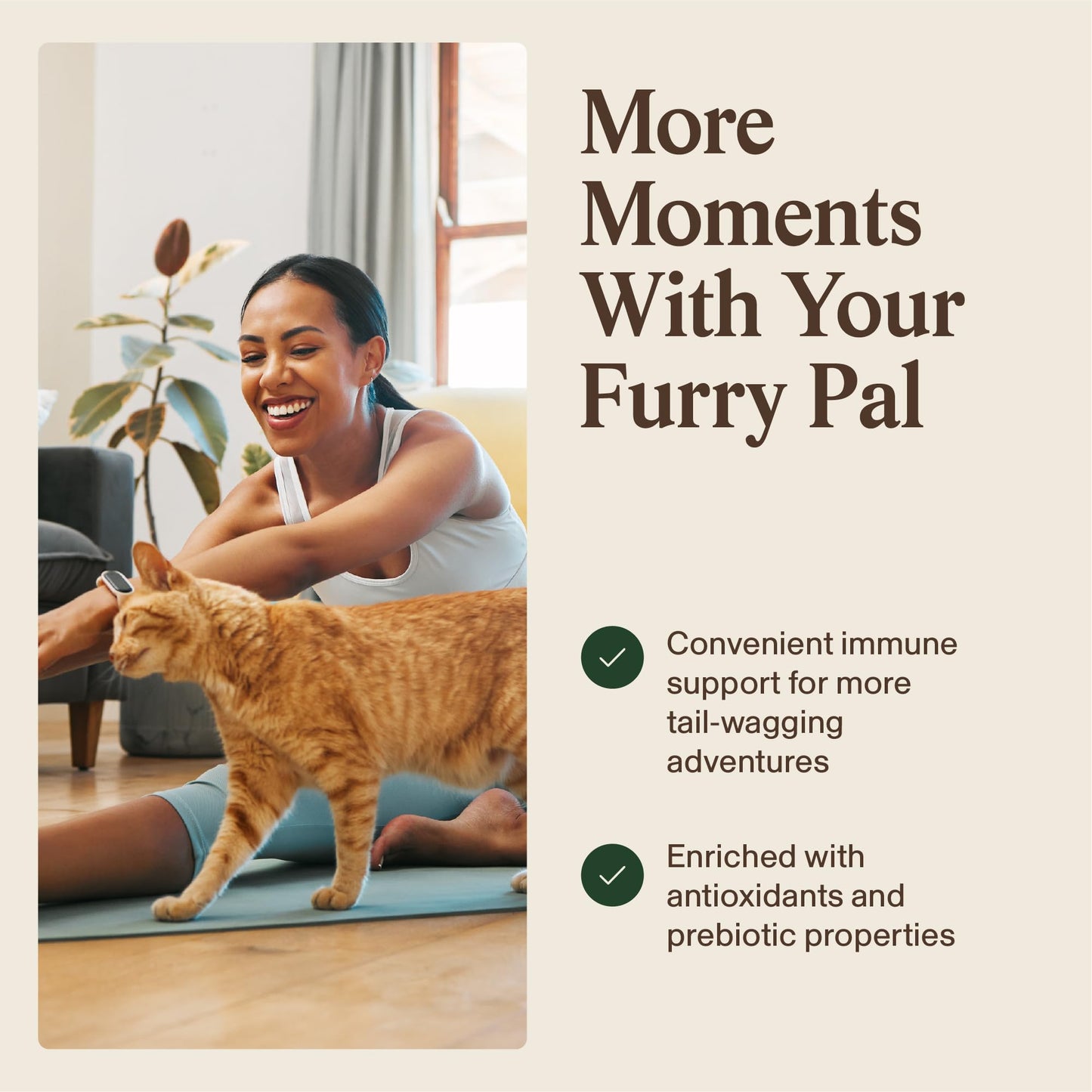 Real Mushrooms Turkey Tail Capsules for Pets –Cat Probiotics & Dog Vitamins – Organic Mushroom Supplement for Dogs & Cats – Supports Daily Balance & Well-Being Non-GMO, 90 ct