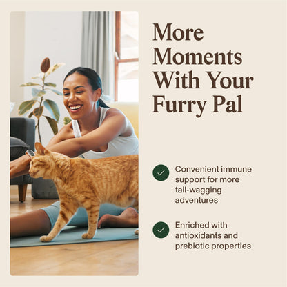 Real Mushrooms Turkey Tail Capsules for Pets –Cat Probiotics & Dog Vitamins – Organic Mushroom Supplement for Dogs & Cats – Supports Daily Balance & Well-Being Non-GMO, 90 ct