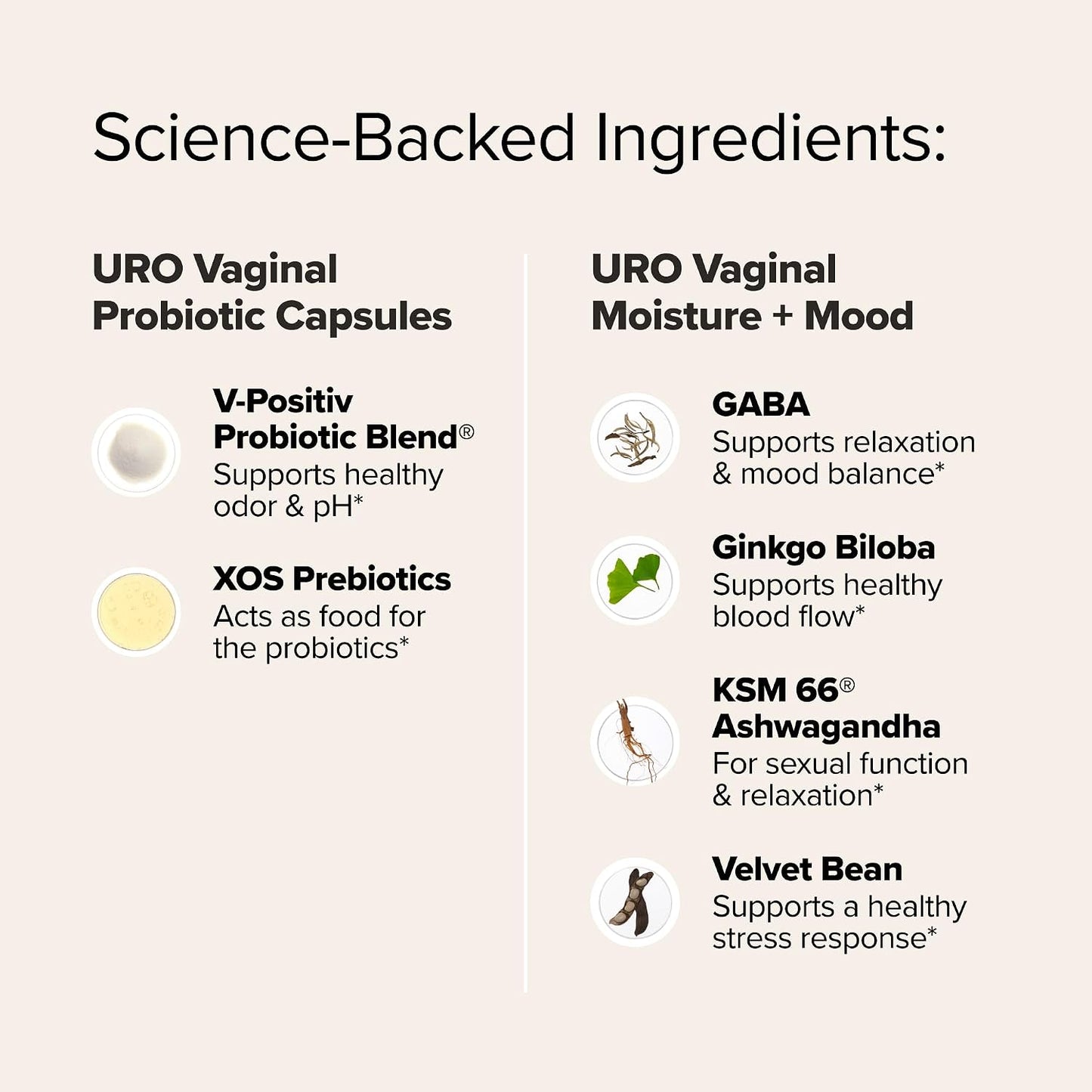 O Positiv URO Wet & Wild Bundle – Vaginal Probiotic & Moisture + Mood