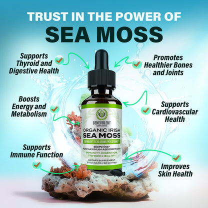 Irish Sea Moss Drops 2oz - Irish Sea Moss Organic, Burdock Root, Bladderwrack & BioPerine