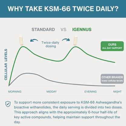 Igennus High Strength Ashwagandha KSM 66, Magnesium, & L-Theanine 3 in 1 Stress, Calm and Replenishment Complex, Clean Label, 60 Fast Acting Capsules | 3 in 1 Stress, Calm and Replenishment Complex, Clean Label, Fast Acting, 60 Capsules