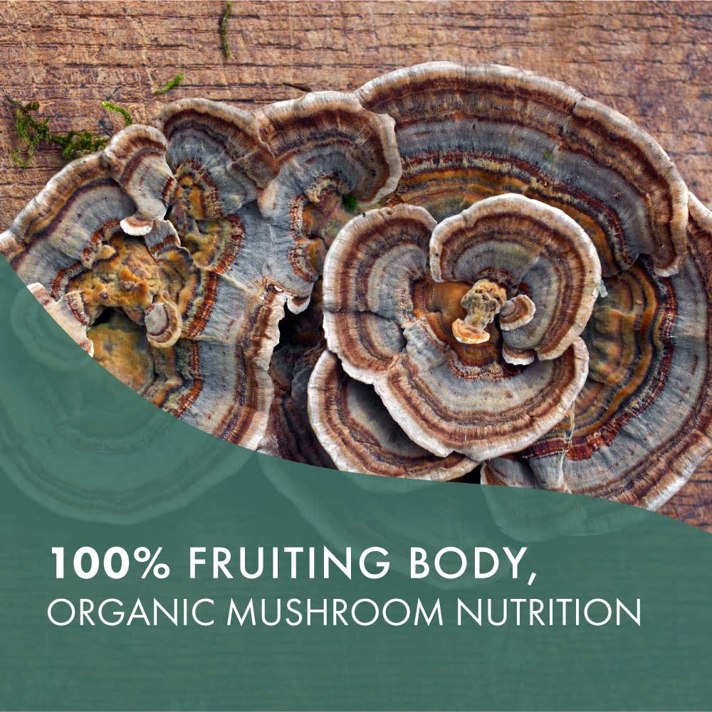 PURE ESSENCE LABS Organic Turkey Tail 4X Mushroom Extract, Vegan Mushrooms Supplement for Immune Building, 30 Capsules
