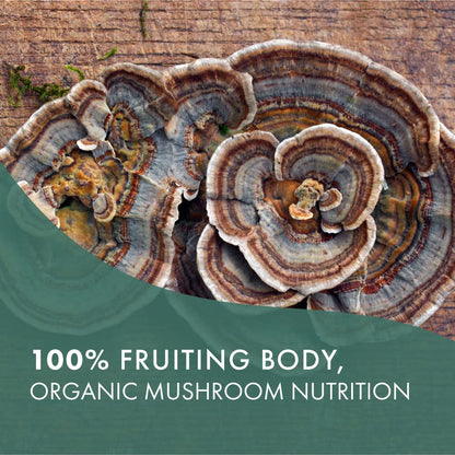 PURE ESSENCE LABS Organic Turkey Tail 4X Mushroom Extract, Vegan Mushrooms Supplement for Immune Building, 30 Capsules