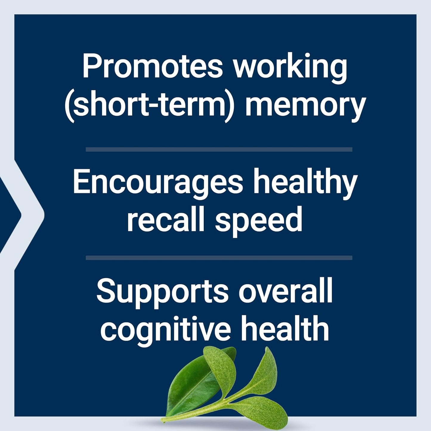 Life Extension Neuro-Mag Magnesium L-Threonate Powder (Tropical Punch) - Ultra-Absorbable Magnesium - Supports Memory, Focus, Cognitive Function & Mood - Gluten free, Non-GMO, Vegetarian (30 Servings) | Tropical Punch Powder Mix for Memory, Recall Speed &