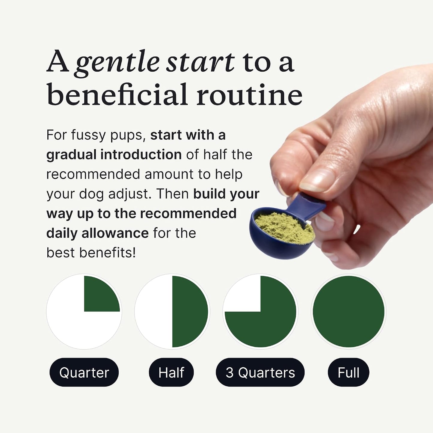 PetLab Co. ProBright Advanced Dental Powder, Small Dogs, 30 Scoops | Three-Time Award-Winning* formula shown to support tartar reduction and fresh breath in 28 days, One scoop daily