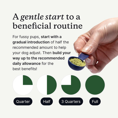 PetLab Co. ProBright Advanced Dental Powder, Small Dogs, 30 Scoops | Three-Time Award-Winning* formula shown to support tartar reduction and fresh breath in 28 days, One scoop daily