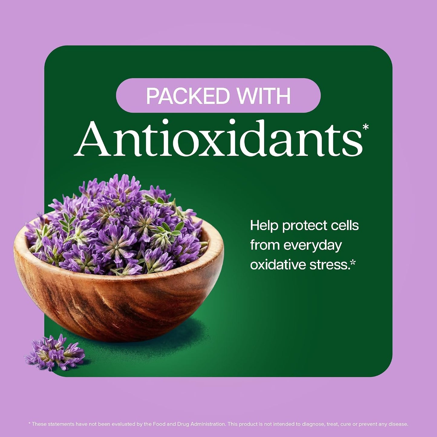 Astragalus Root, 8 Month Supply, Immune Support, 20:1 Astragalus Extract | 20:1 Astragalus Extract, 70% Polysaccharides, High-Concentration Adaptogen Support for Energy & Vitality, Vegan, 250 Capsules