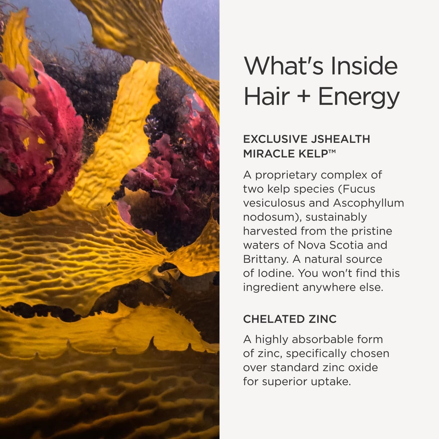 JSHealth Hair Growth Vitamins for Women. Hair + Energy with Kelp Iodine and Zinc. Supports Thickness, Strength, Energy. Nutritionist-Formulated (60 Capsules) | Hair Vitamins for Women and Men, Zinc and Iodine Hair Supplements for Hair Growth