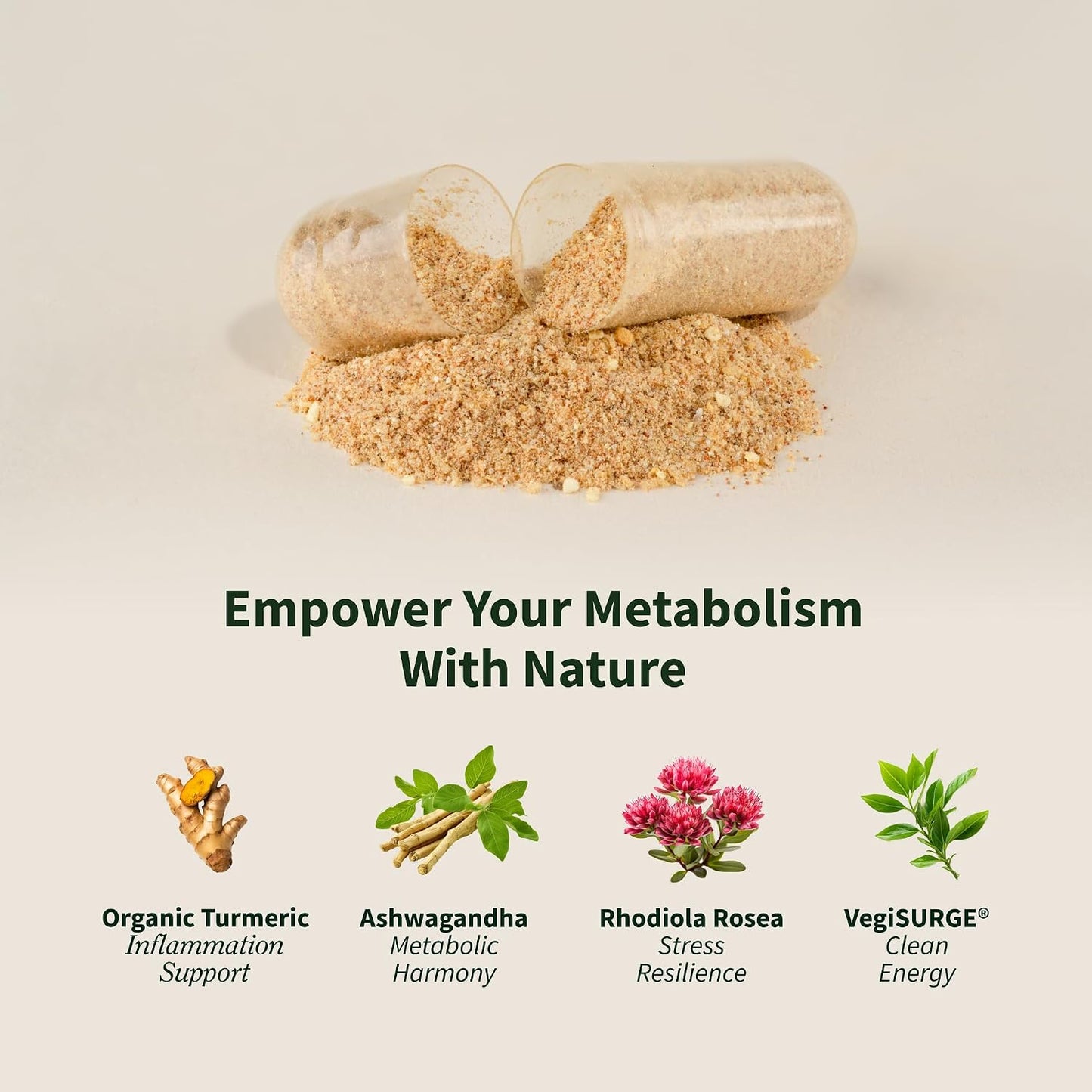 Snap Supplements Energy & Metabolism Adaptogenic Herbal Complex, 60 Count | Ginger, Turmeric, Rhodiola Rosea, Vitamin B12, Support Metabolism, Natural Energy, 30-Day Supply, Vegan, Gluten-Free, Non-GMO
