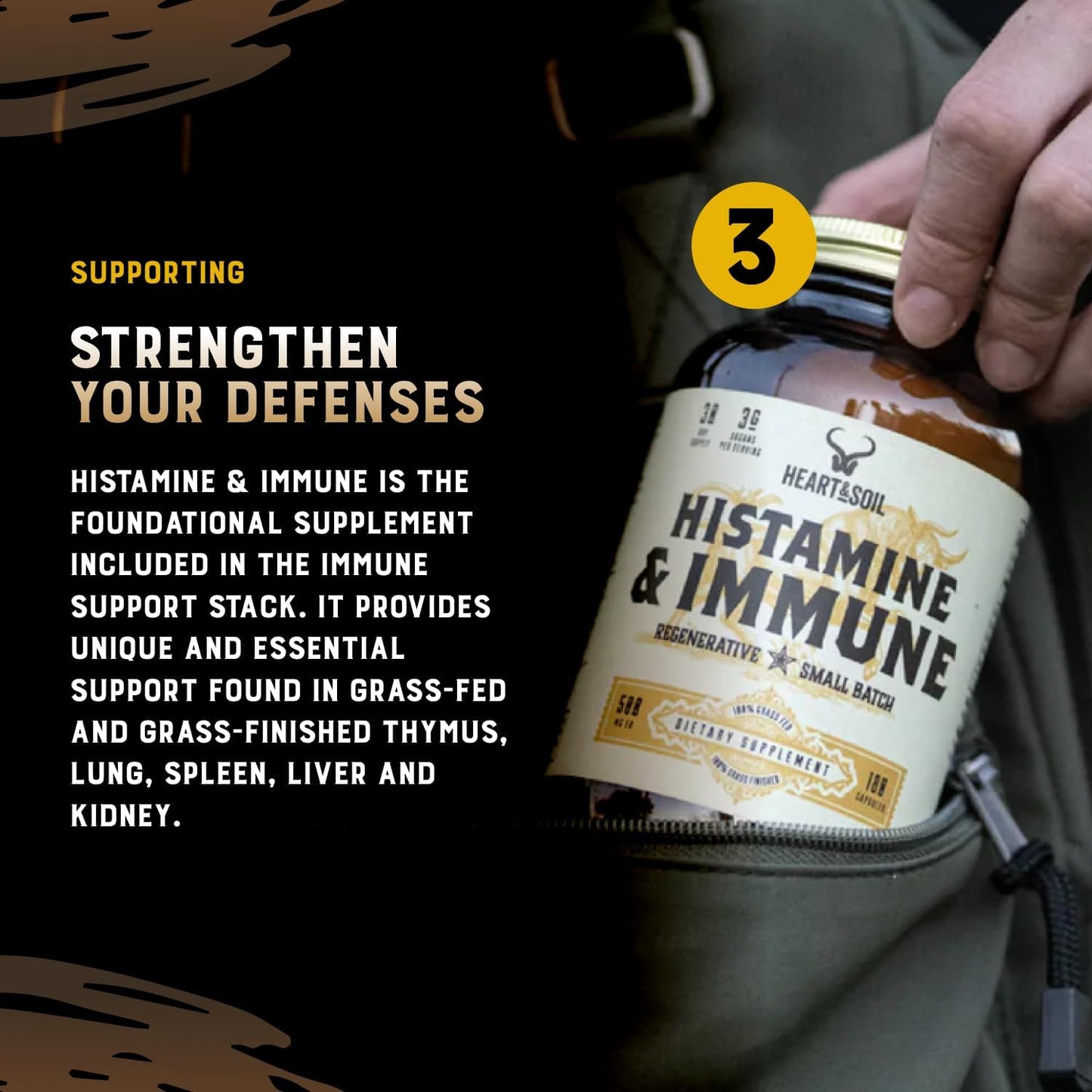 Stress Stack – Mood, Memory, Brain, Bone Marrow, Liver, and Immune Support Supplements for Cognitive and Overall Vitality