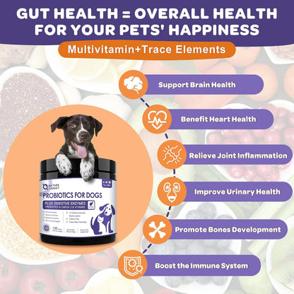 NATURE TARGET 6 Billion Freeze Dried Probiotics for Dogs, 120 Bites | With Prebiotics & Enzymes, Vitamins & Omega 3, Support Digestive & Gut Health, Itch Relief, Reduce Diarrhea