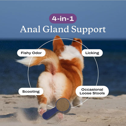 PetLab Co. Anal Gland Support Powder, Tailored, Small | Size-specific beet pulp, psyllium husk and probiotics to support firm stools and gland expression