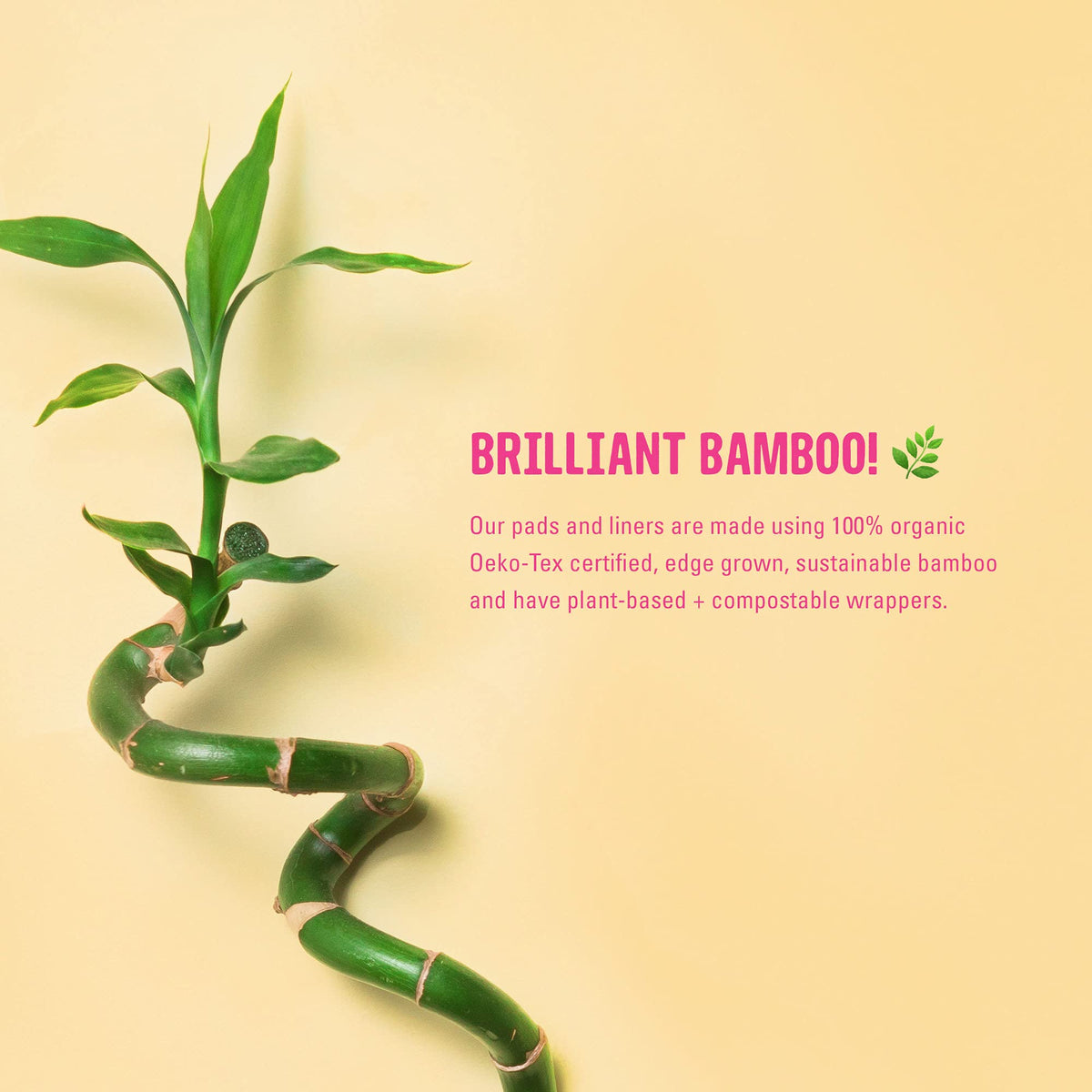 FLO - Organic Bamboo Daily Panty Liners, Plant-Based Cotton, Biodegradable