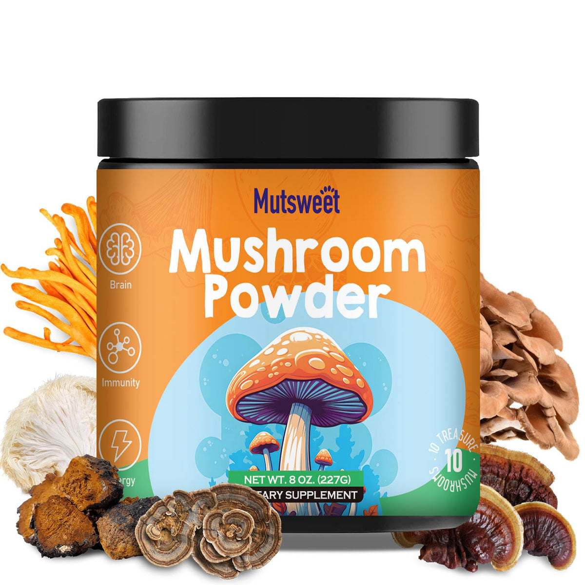 Mushroom Powder Blend (75 Servings), Ten Mushroom Supplement with Lions Mane