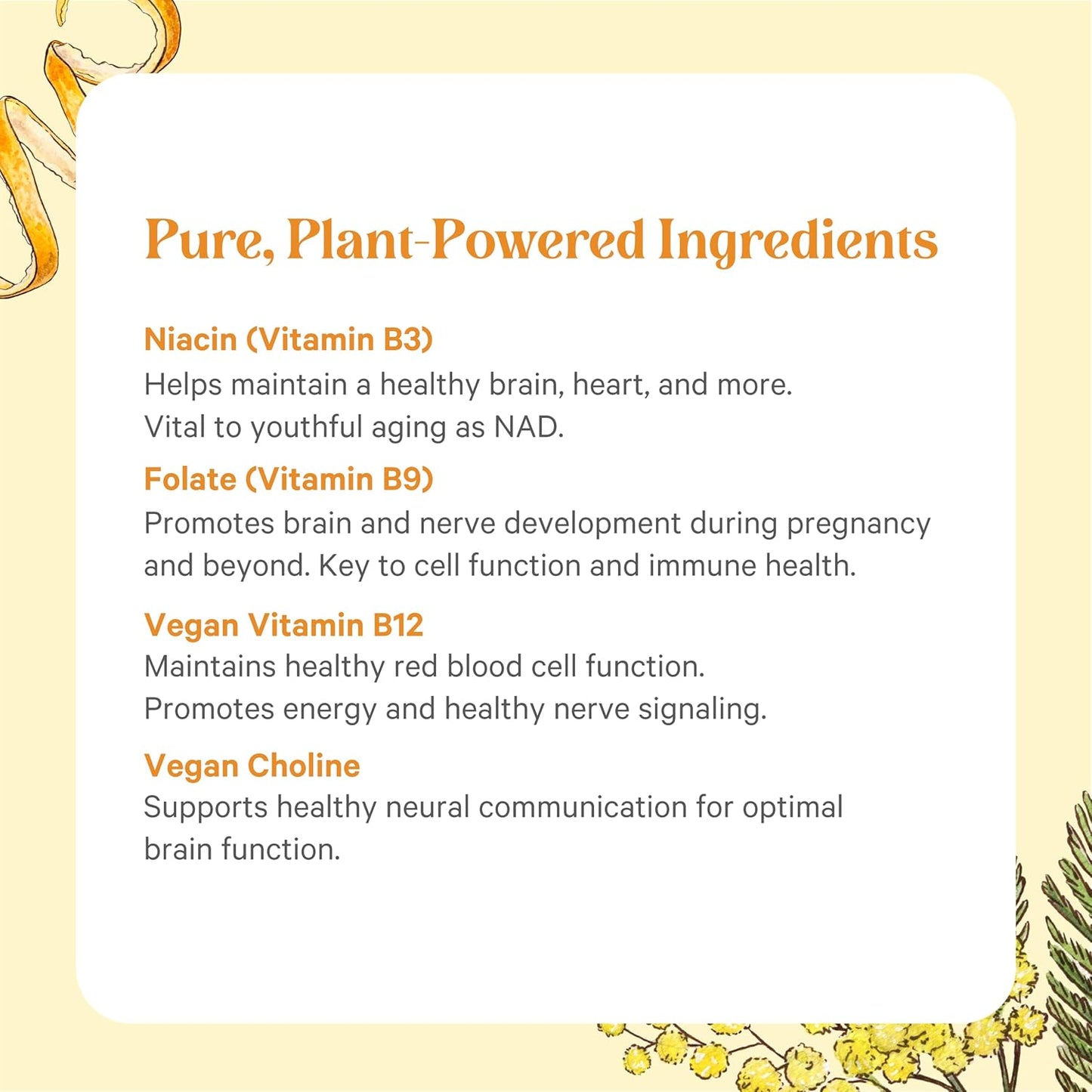 PURE SYNERGY Super B-Complex | Vitamin B Complex Made with Organic Whole Foods | Vegan Supplement with Natural Vitamin B12, Niacin, and Folate | for Energy, Focus and Mood Support (60 Tablets)