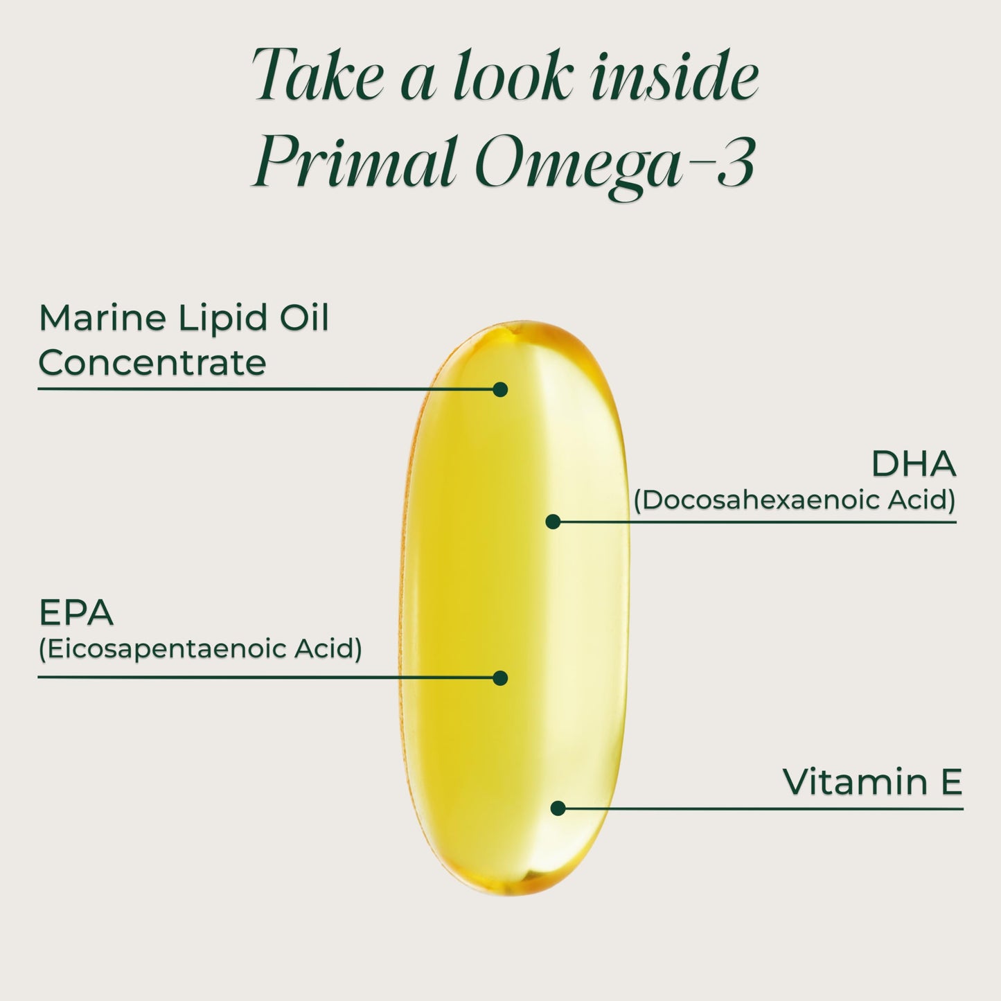 Primal Harvest Omega-3 - Daily Supplement, Gluten, Dairy & Soy Free