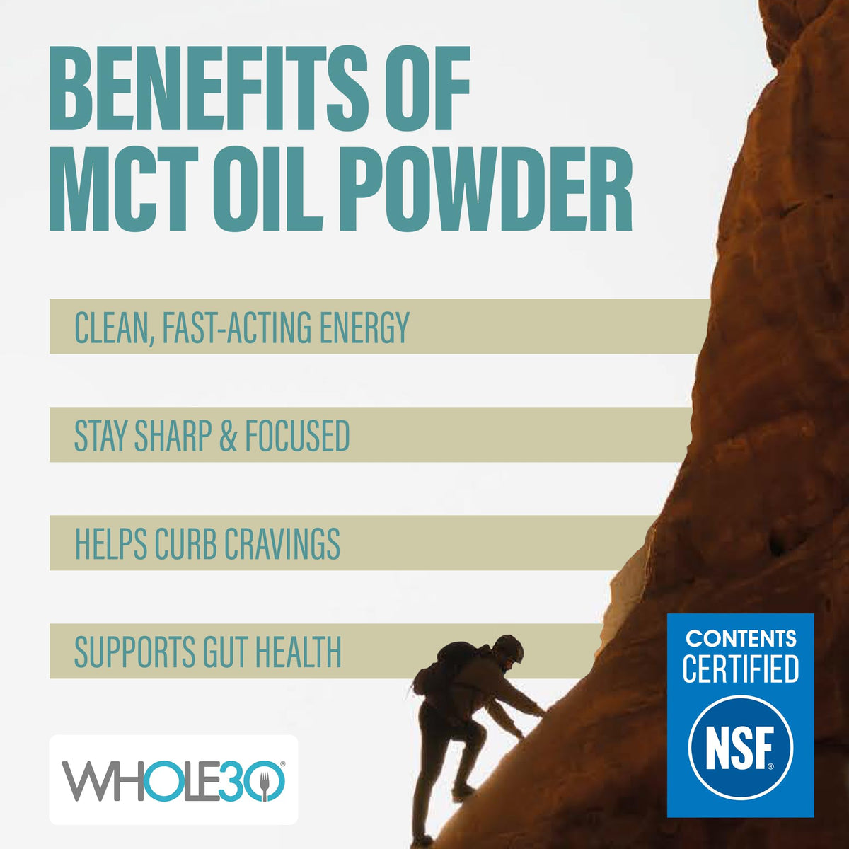 BUBS Naturals MCT Oil Powder - Premium MCT Oil & Keto Coffee Creamer - Vegan & Paleo Friendly - Healthy Coconut Fats + Low Carb - Dairy-Free Energy Source for Shakes, Smoothies & Baking (10.6 oz)