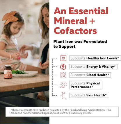 Organic Iron Supplement | Whole Food Mineral & Cofactors, 25 mg Elemental | Enhanced Absorption Plus Blood Health Vitamins – Gentle Form – Supports Healthy Levels & Blood Health – 90 Capsules