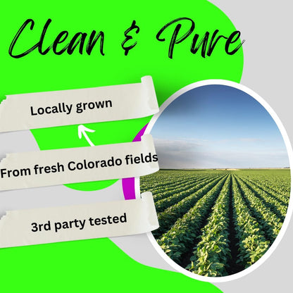 Advanced Bionetix True Hemp Oil Blend w/The Ingredient You Need for Body Aches, worriedness & to Feel Calm