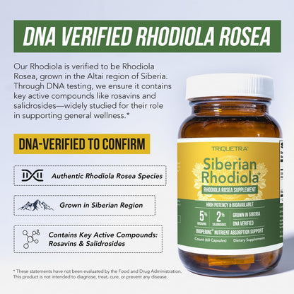 Max Strength Siberian Rhodiola®: Rhodiola Rosea 5% Rosavins, 2% Salidroside & BioPerine® for Enhanced Absorption – Helps Support Stress, Energy & Focus* – Grown in Siberia, DNA Verified (60 Capsules)