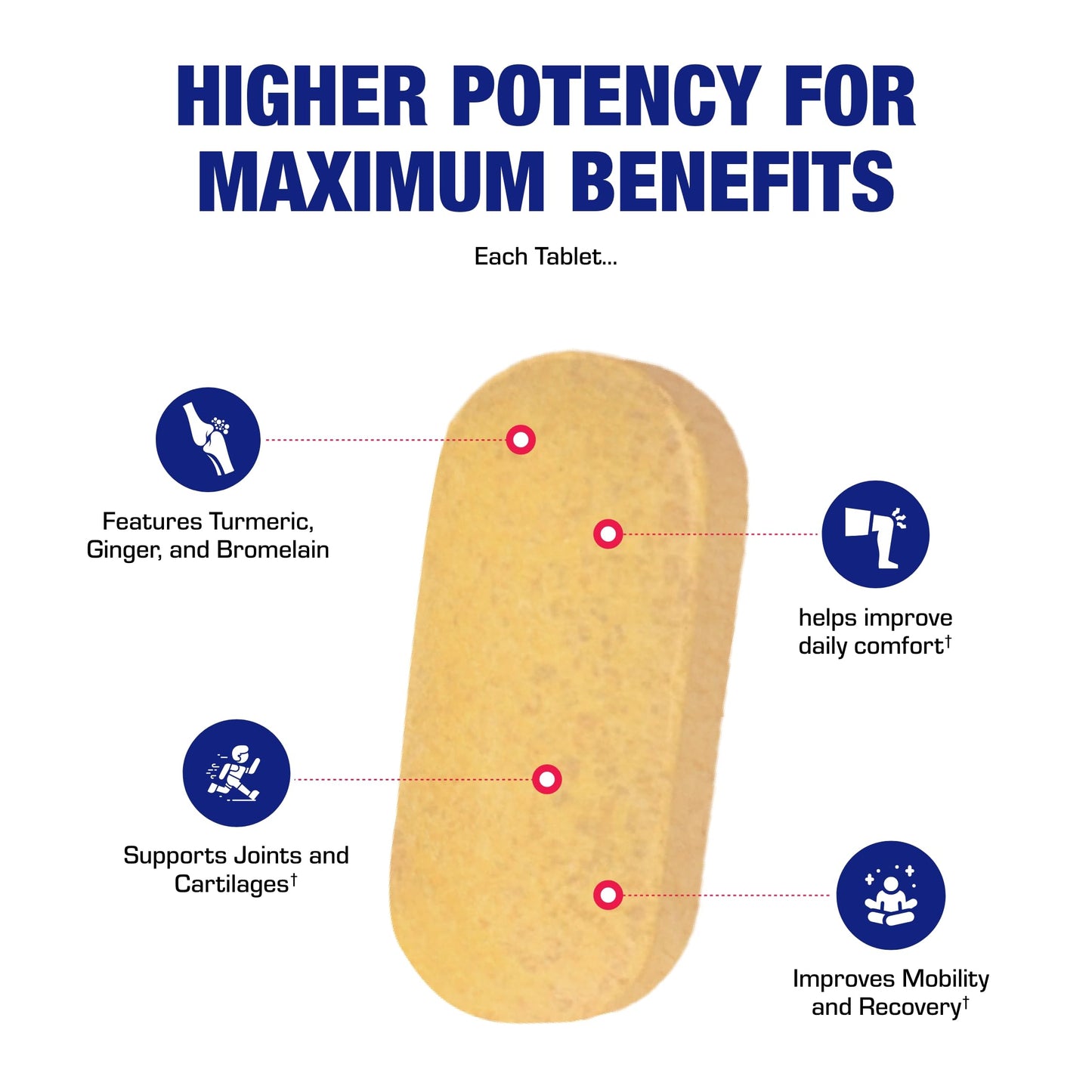 Pro ENZ Joint Support Supplement - Clinical Formula Turmeric Boswellia Supplement for Joint & Cartilage Mobility and Comfort Support Plus Eicosanoid Management with Proteolytic Enzymes (60 Tablets)