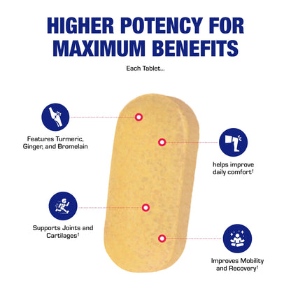 Pro ENZ Joint Support Supplement - Clinical Formula Turmeric Boswellia Supplement for Joint & Cartilage Mobility and Comfort Support Plus Eicosanoid Management with Proteolytic Enzymes (60 Tablets)
