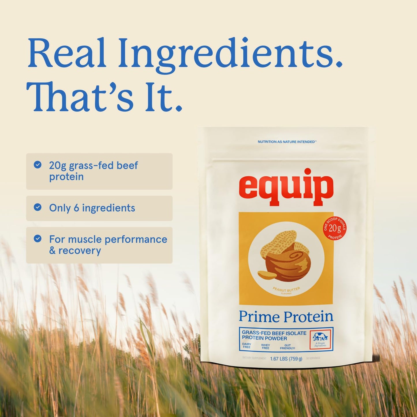 Equip Prime Chocolate Protein Powder - Gut-Friendly, No Sugar Protein Shake Powder with Grass-Fed Beef & Natural Collagen - Rich & Creamy Mix - 21g Per Serving - Whey & Dairy-Free (30 Scoops)