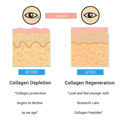 Research Labs 2 for 1 Promo 240 Collagen Pills - 6000 mg Per Day. Grass Fed Anti-Aging Support for Skin, Joints, Tendons, Bones, Hair and Nails. Paleo Friendly. Collagen Peptides Powder Supplement…