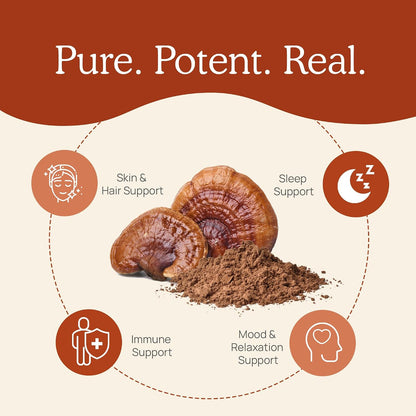 Real Mushrooms Brain, Vitality & Immune Support Bundle - Lion’s Mane Cognition Capsules (120 Capsules) + Reishi 415 Longevity Capsules (90 Capsules) & Cordyceps-M Peak Performance (120 Capsules)