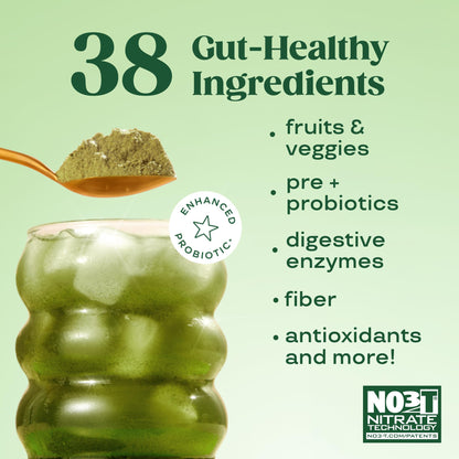 Bloom Nutrition Superfood Greens Powder, Berry, 30 Servings | Digestive Enzymes with Probiotics and Prebiotics, Gut Health, Bloating Relief for Women, Chlorella, Green Juice Mix