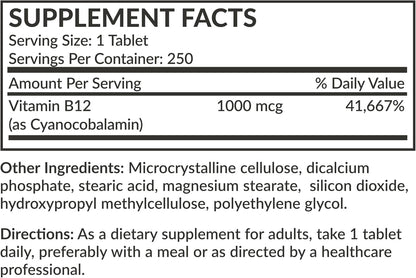 Futurebiotics Vitamin B12 1000mcg Vegetarian Friendly Non-GMO, 250 Tablets