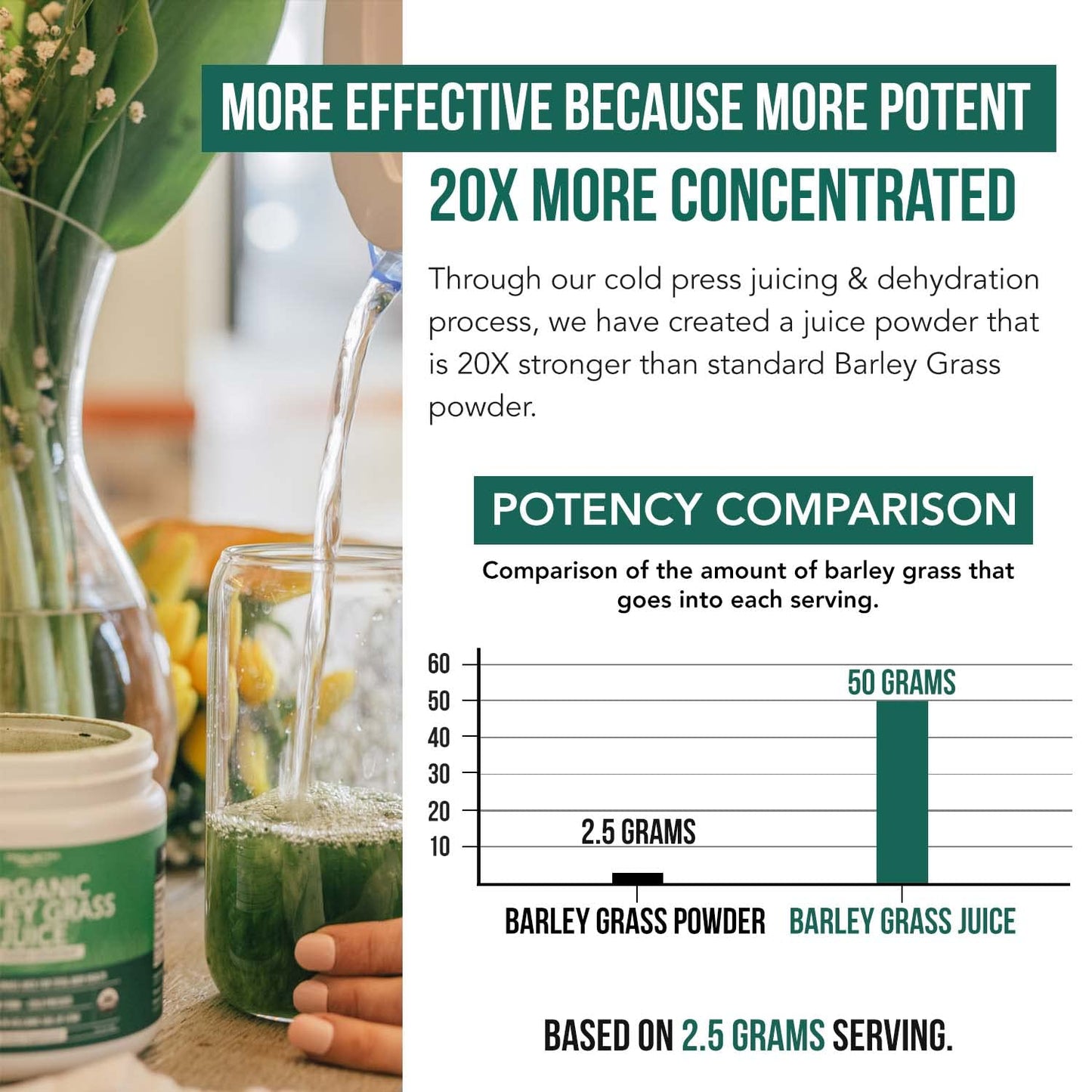 Organic Wheatgrass Juice Powder - Organic, Grown in Volcanic Soil of Utah - Raw BioActive Form, Cold-Pressed Then CO2 Dried, 20:1 Concentrate Juice Extract - Unflavored (5.3 oz – 60 Servings)