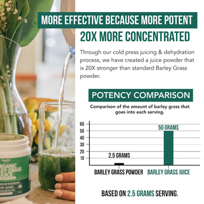 Organic Wheatgrass Juice Powder - Organic, Grown in Volcanic Soil of Utah - Raw BioActive Form, Cold-Pressed Then CO2 Dried, 20:1 Concentrate Juice Extract - Unflavored (5.3 oz – 60 Servings)