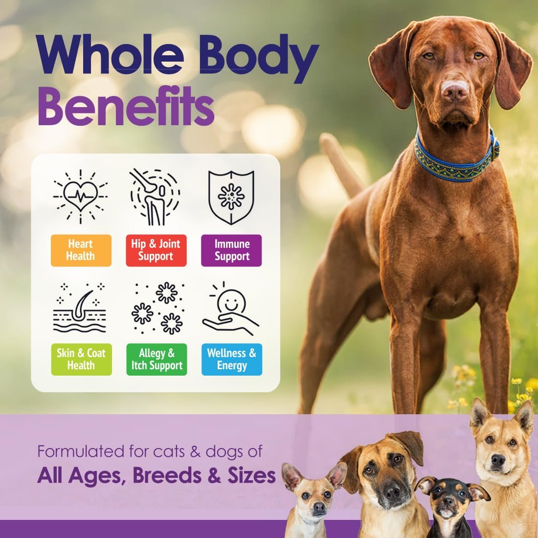 Dog Multivitamin Chewable - 22 in 1 Dog Vitamins and Supplements with Green Lipped Mussel & Omega 3 for Joints, Skin & Coat, Immune System - Senior & Puppy Multivitamin for Dogs - 60 Beef Chews