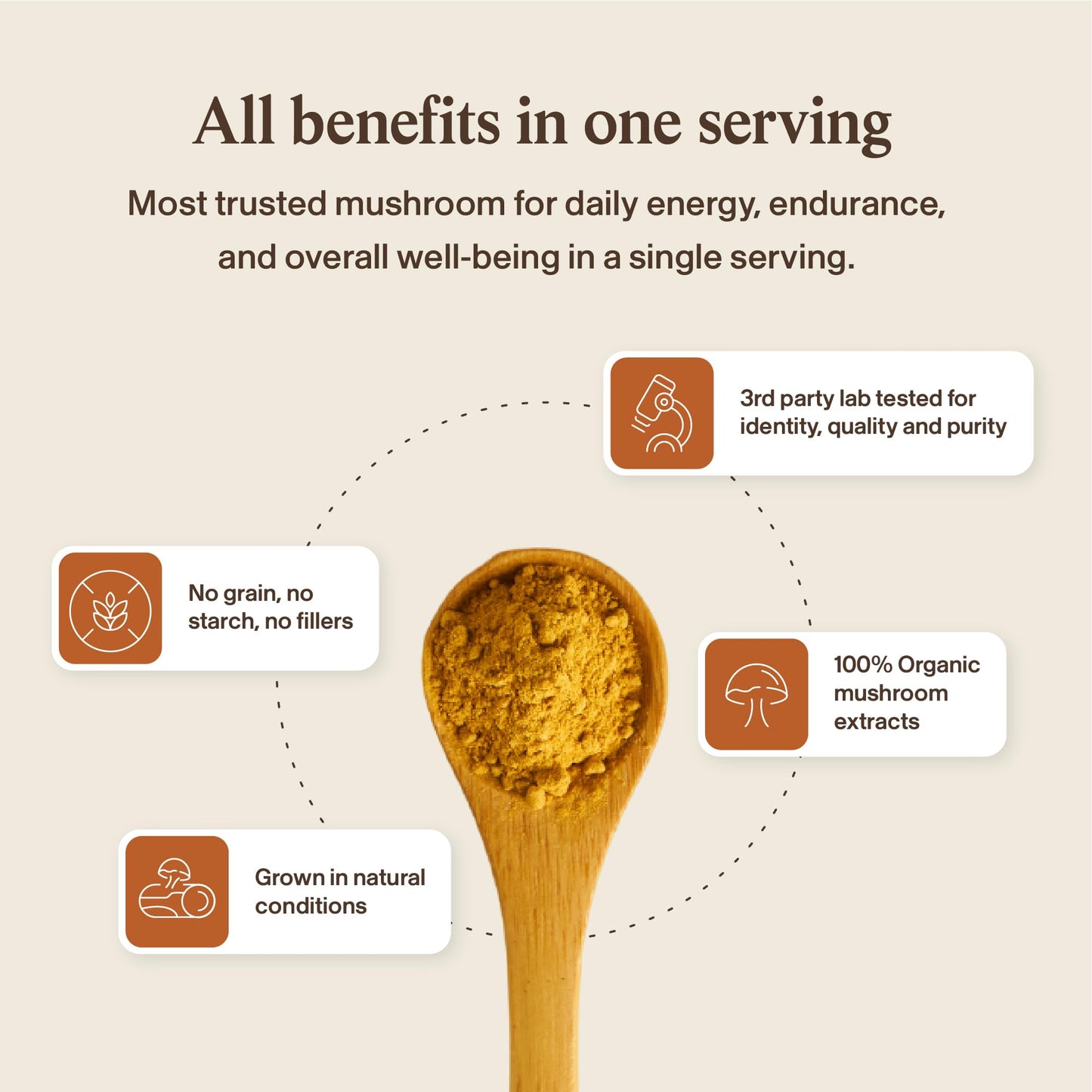Real Mushrooms Cordyceps Mushroom Powder - Organic Cordyceps Powder Mushroom Energy and Wellness Support - Rich in Beta Glucans - Non-GMO, Vegan Supplement, 60 Servings