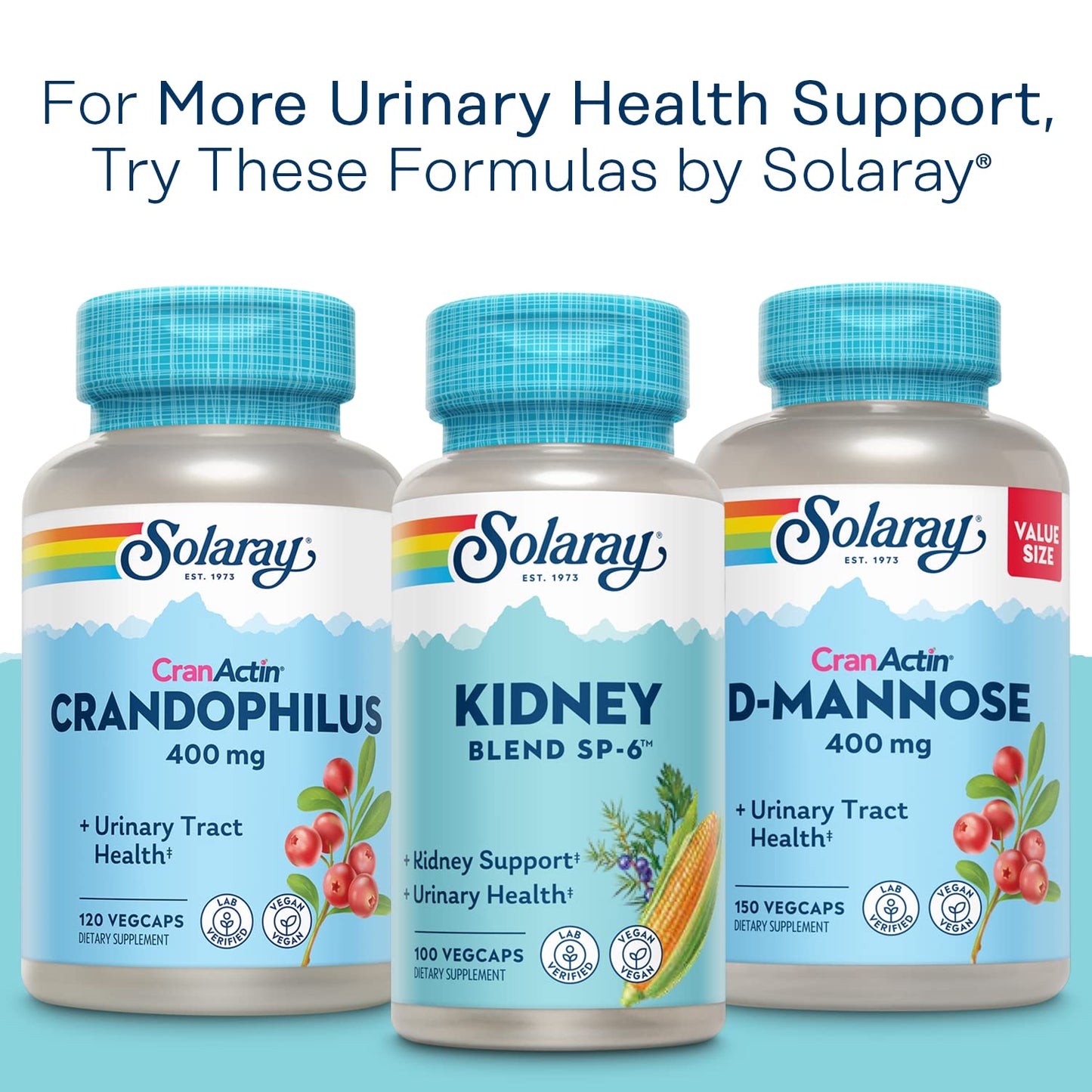 SOLARAY CranActin Cranberry Extract 400 mg - Cranberry Supplements for Women and Men - Bladder and Urinary Tract Health Support with Vitamin C - Vegan, 60-Day Guarantee, 120 Servings, 120 VegCaps