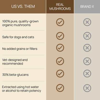 Real Mushrooms Lion’s Mane Pet Mushroom Supplement – Pet Wellbeing Capsules – for Cat & Dog Supplement & Vitamins – Support Mindful Routines – Organic, Vegan, Non-GMO, 120 Count