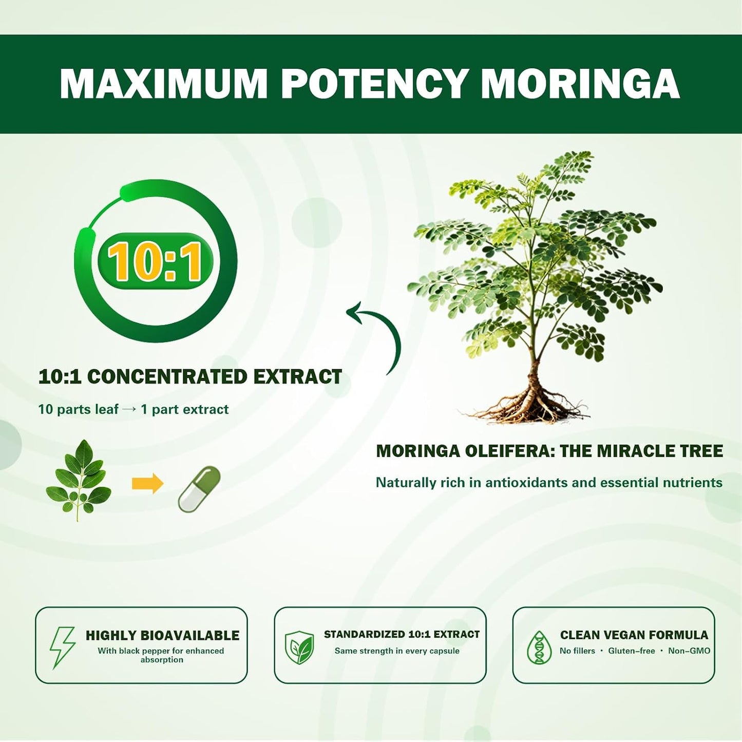 Organic Moringa Capsules 1000mg, 10:1 Leaf Extract Supplement with Turmeric & Black Pepper for Energy, Antioxidant, Immune Support, Vegan, 60 Capsules