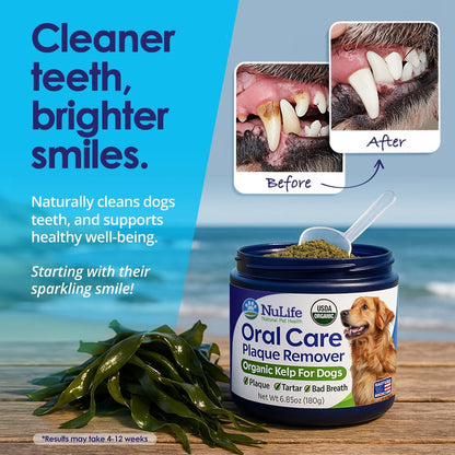 Dog Teeth Cleaning Powder, Dog Plaque and Tartar Remover, Bad Breath Treatment for Dogs with USDA Organic Sea Kelp Powder, Dog Dental Care Made Easy, for All Ages, 12 oz