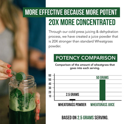 Organic Wheatgrass Juice Powder - Organic, Grown in Volcanic Soil of Utah - Raw BioActive Form, Cold-Pressed Then CO2 Dried, 20:1 Concentrate Juice Extract - Unflavored (5.3 oz – 60 Servings)