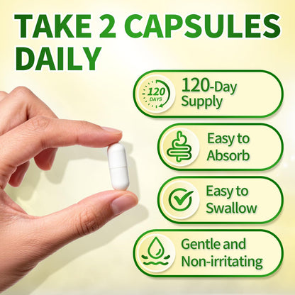 Triple Magnesium Complex for Women and Men, Magnesium Glycinate 400mg, Malate, Citrate, High Absorption Chelated Magnesium Supplement Support Sleep, Muscle, Non-GMO, Gluten Free - 240 Capsules