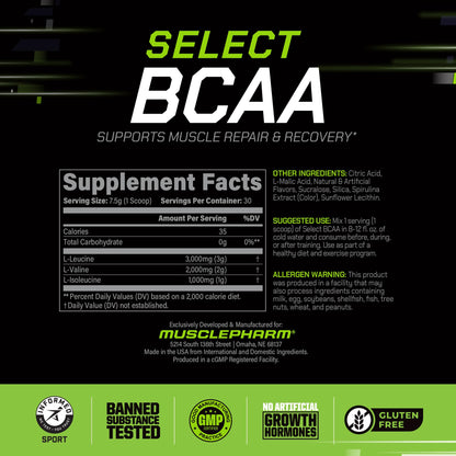 MusclePharm Essentials BCAA Powder, Pre & Post Workout Recovery Drink, Supports Muscle Recovery & Energy, Essential Amino Acids, 30 Serv, Fruit Punch
