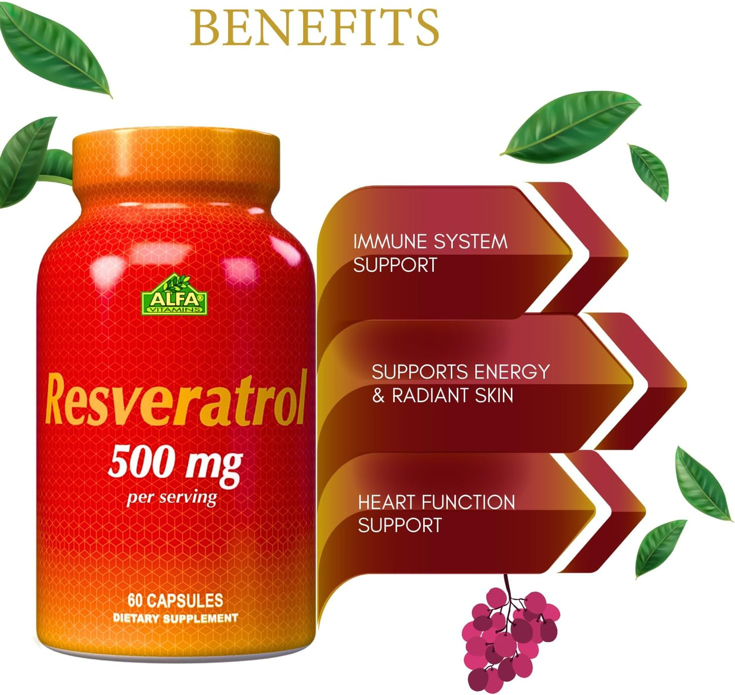 Resveratrol 1000mg by Alfa Vitamins - Powerful Antioxidant, Helps prevent cell damage - Supports Brain Function, Cardiovascular Health, Metabolism, anti-aging effects - 60 Capsules